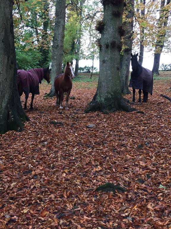 Brookover Farm Willa Frome Zewnętrze zdjęcie