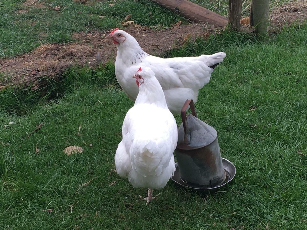 Brookover Farm Willa Frome Zewnętrze zdjęcie